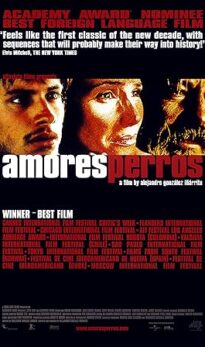 Amores Perros